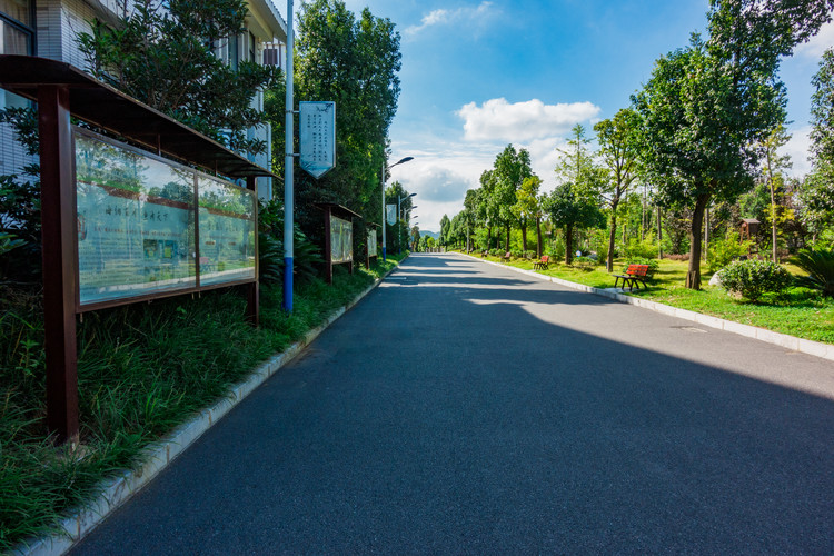 成都市技术学院简历_成都市技师学院领导班子成员