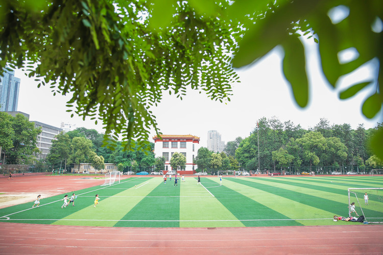 成都当幼师才知道_成都当幼师需要什么条件